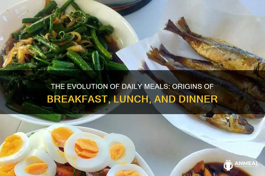 when did breakfast lunch and dinner start