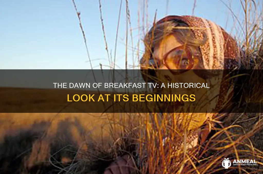 when did breakfast tv start