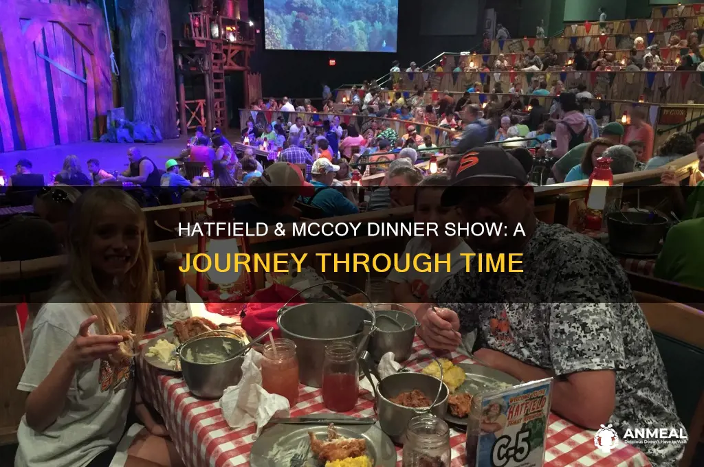 when did hatfield & mccoy dinner show open