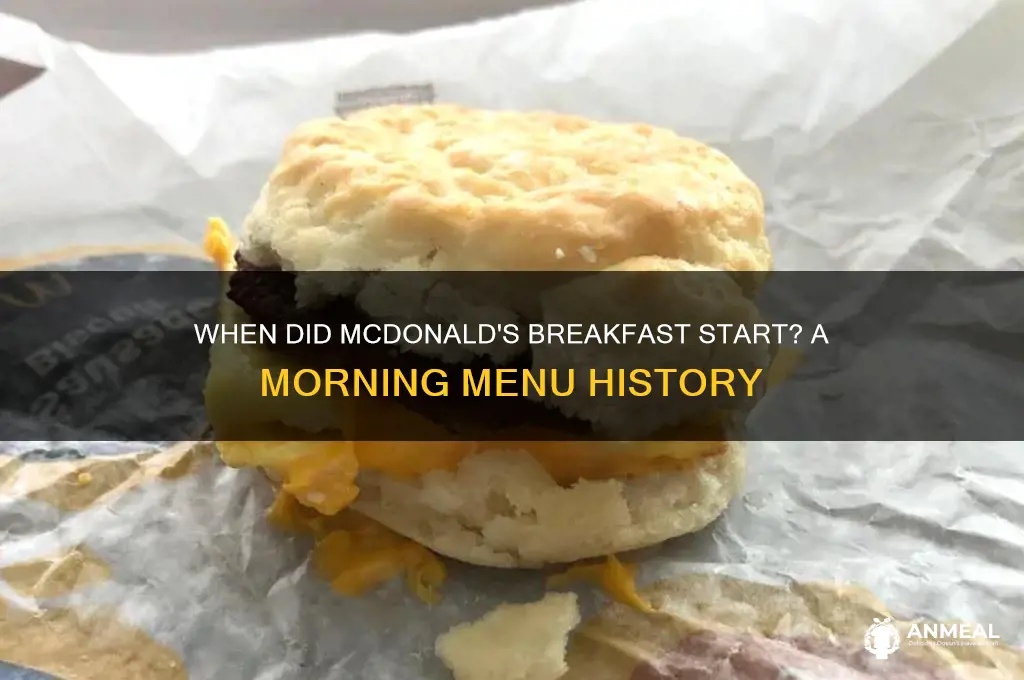 when did mc breakfast start