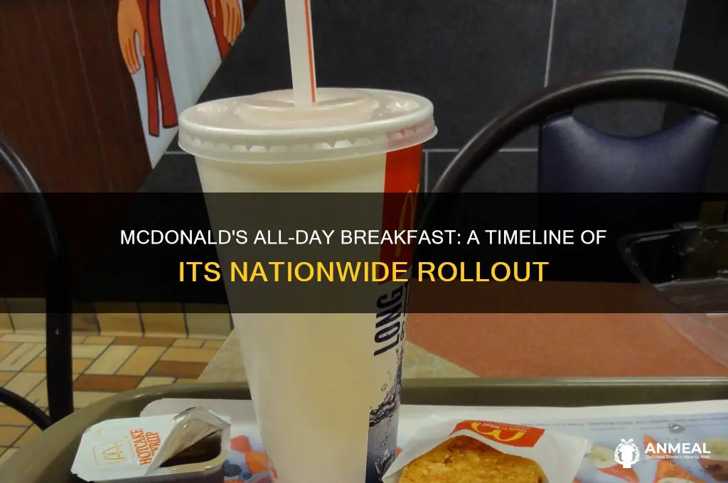 when did mcodonalds implement all day breakfast