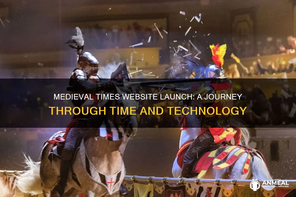 when did medieval times dinner and tournament open their website