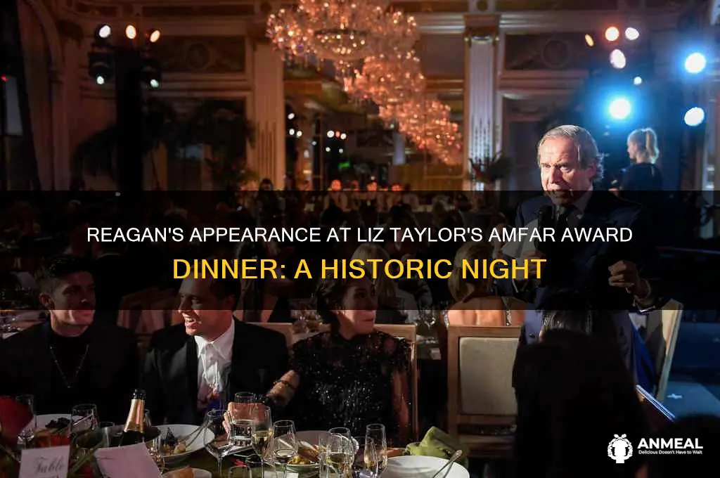 when did reagan attend liz talyors amfar award dinner