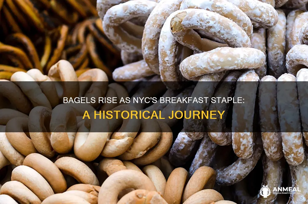 when did the bagel become nyc breakfast