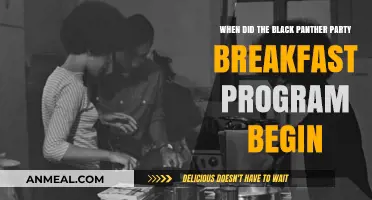 Black Panther Party's Free Breakfast Program: Origins and Impact