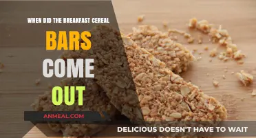 The Rise of Breakfast Cereal Bars: A Historical Overview