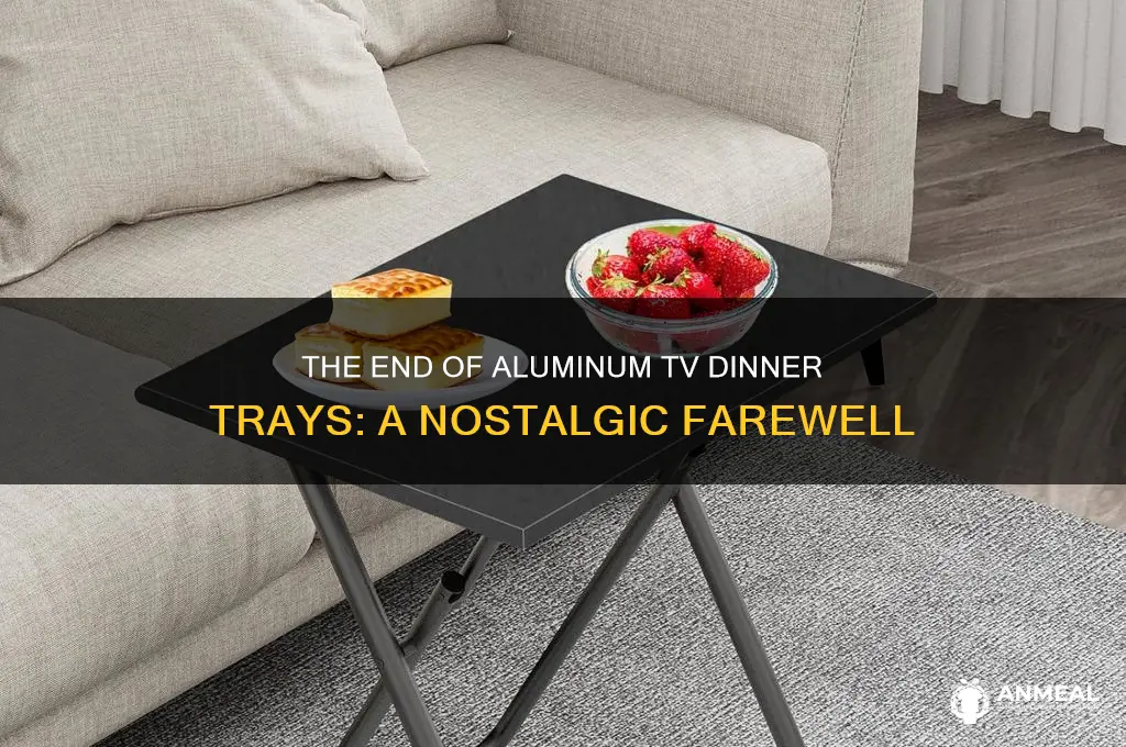 when did they discontinue aluminum tv dinner trays