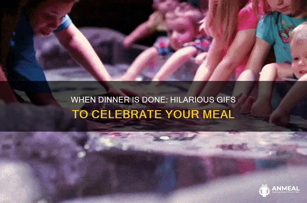 when dinner is done gif