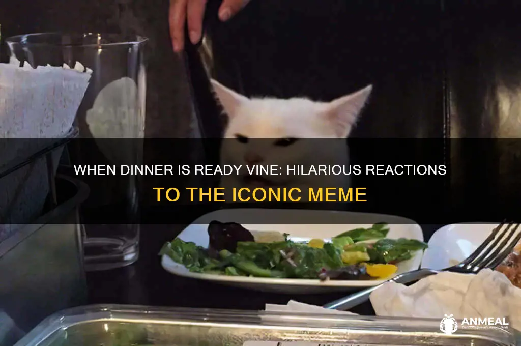 when dinner is ready vine