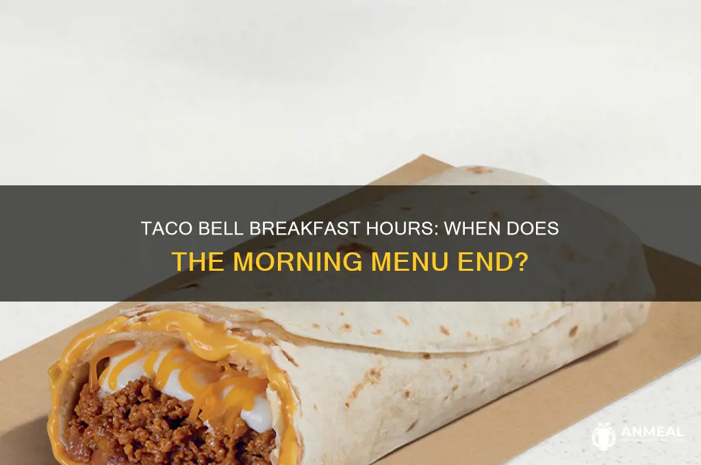 when do breakfast hours end at taco bell