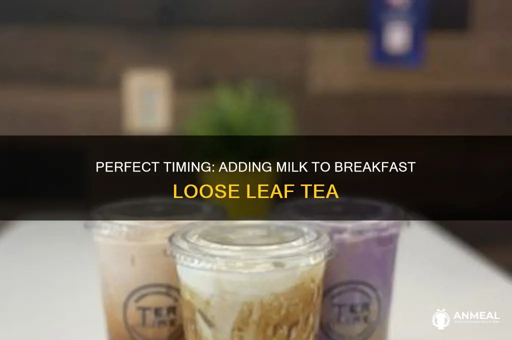 when do you add milk to breakfast loose leaf tea