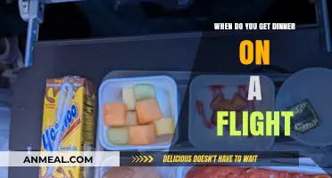 Flight Meal Times: When to Expect Dinner in the Sky
