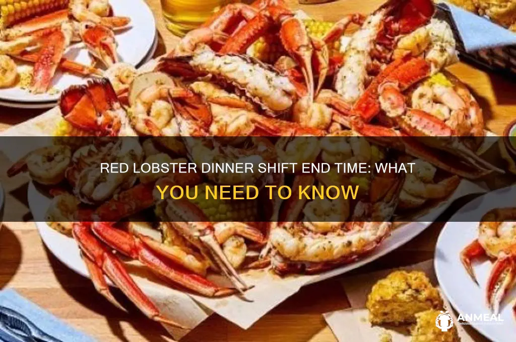 when does a dinner shift end in red lobster