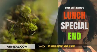 Savor the Savings: Barro's Lunch Special Countdown