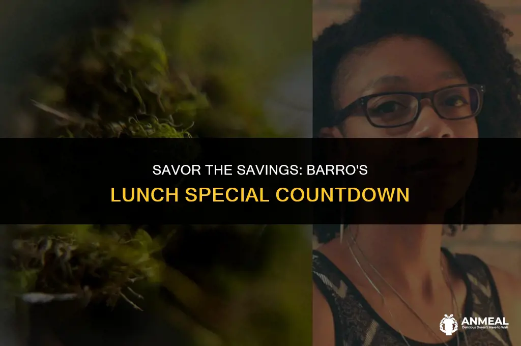when does barro
