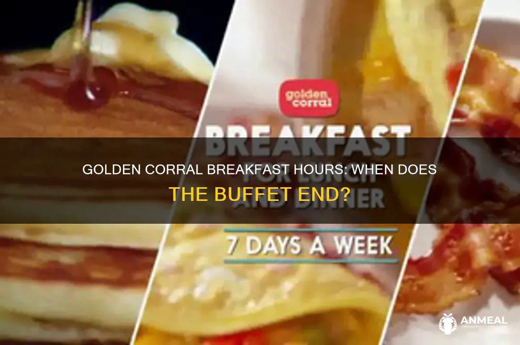 when does breakfast at golden corral end