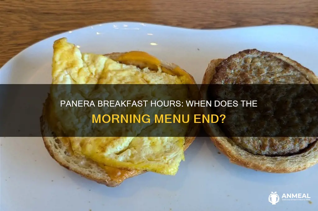 when does breakfast at panera end