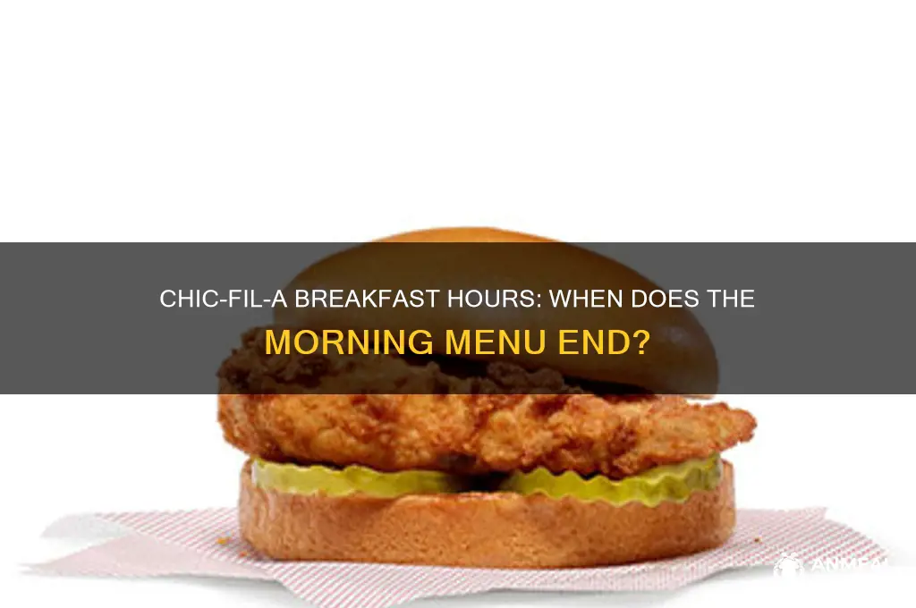 when does breakfast end at chic fil a