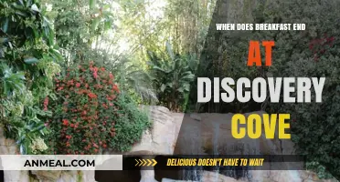 Breakfast Hours at Discovery Cove: When Does the Morning Feast End?