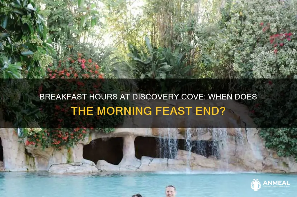 when does breakfast end at discovery cove