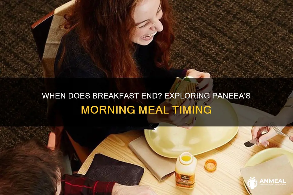when does breakfast end paneea