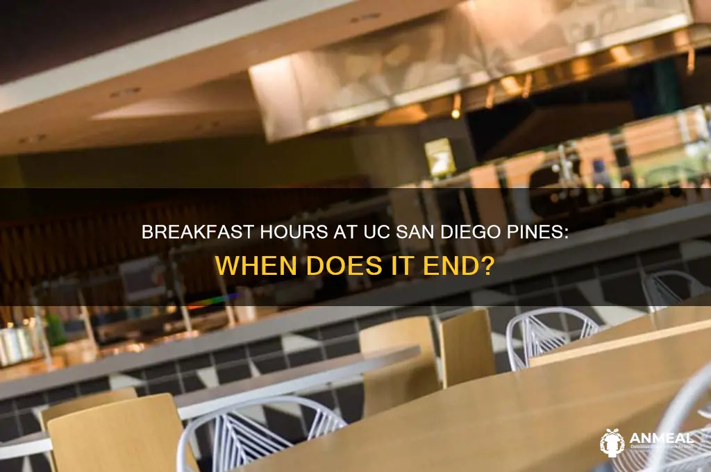 when does breakfast end ucsd pines