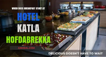 Hotel Katla Hofdabrekka Breakfast Hours: Start Your Day Right