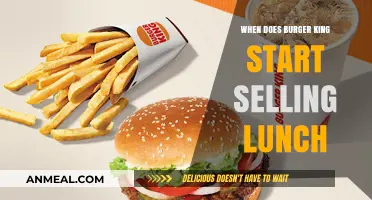 Savor the Midday: Burger King's Lunch Menu Kicks Off!