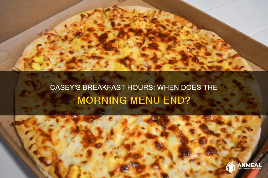 when does casey