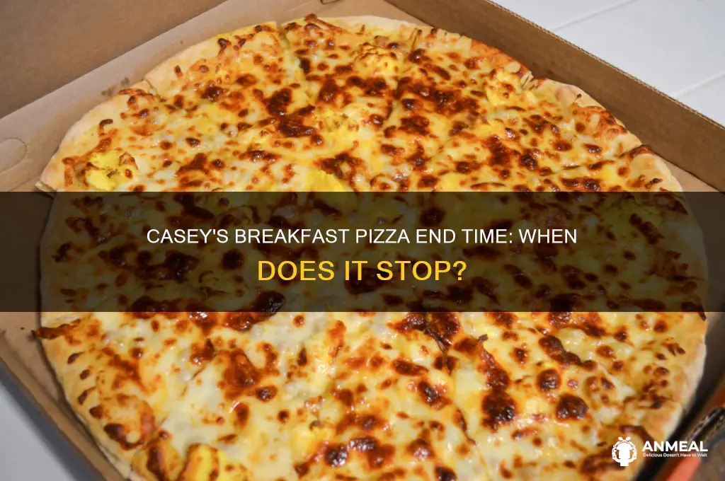 when does casey