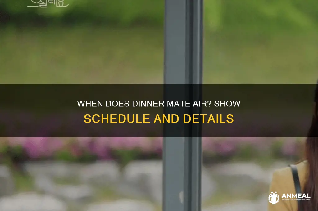 when does dinner mate air