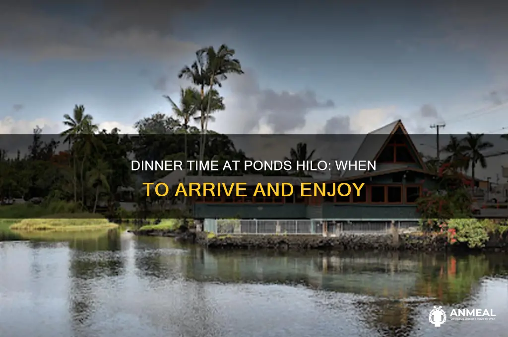 when does dinner start ponds hilo