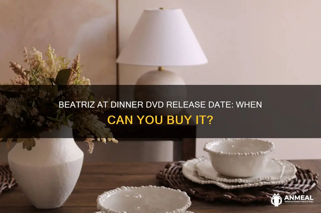 when does dvd beatriz at dinner come out