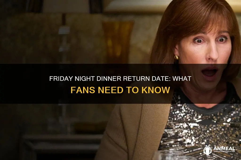 when does friday night dinner return