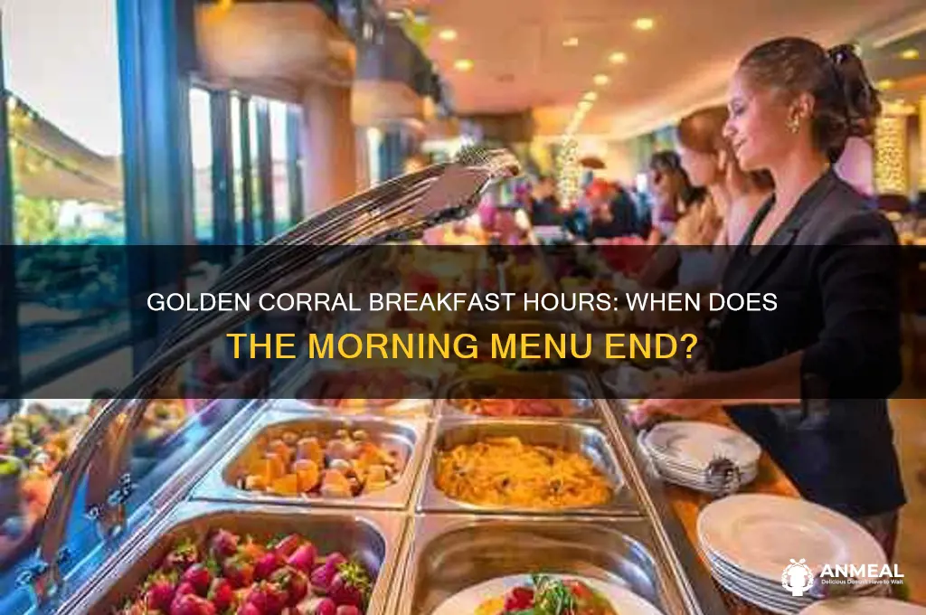 when does golden carrol stop breakfast