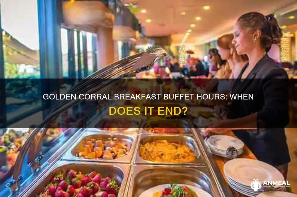 when does golden corrals breakfast buffet end
