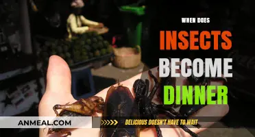 From Creepy Crawlers to Culinary Delights: When Insects Become Dinner