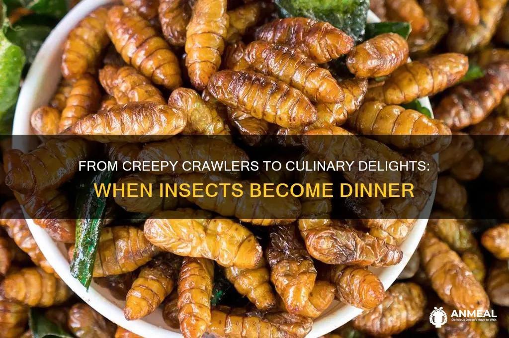 when does insects become dinner