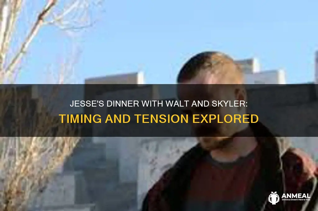 when does jesse have dinner with walt and skyler