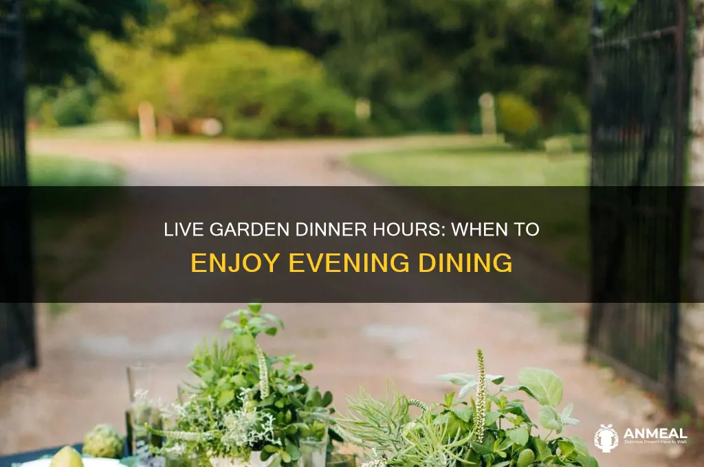 when does live garden do dinner