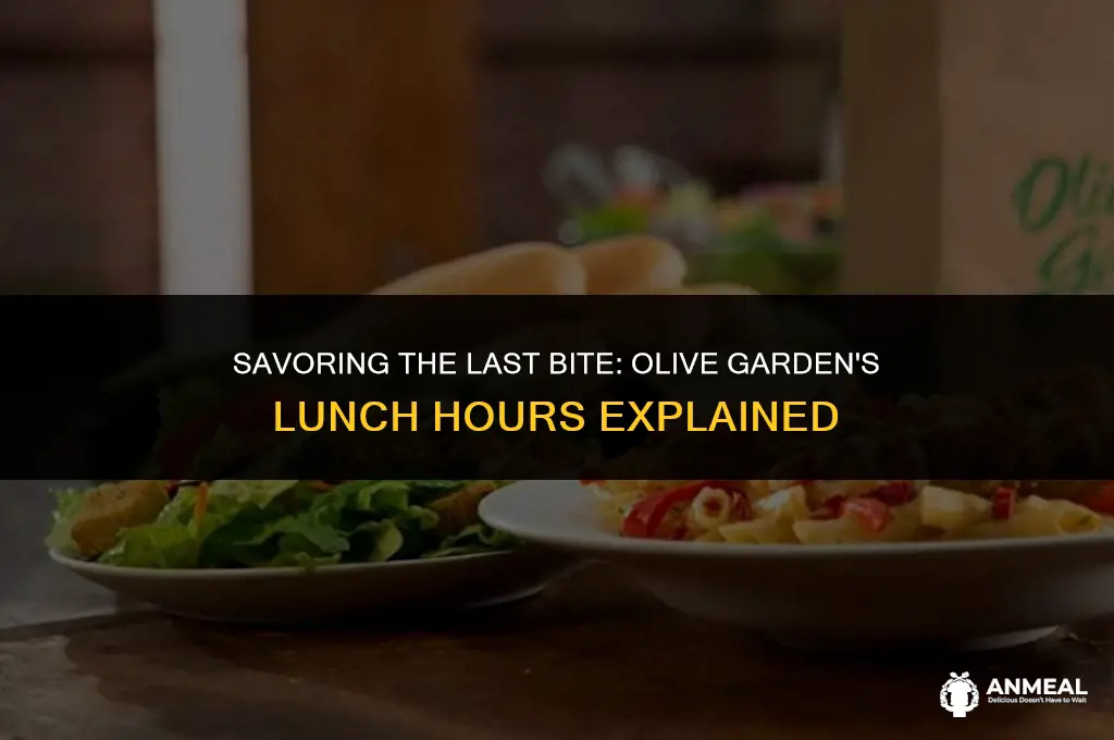 when does lunch end at olive garden