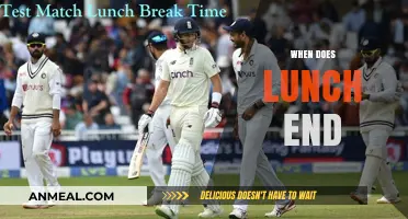 Exploring the Ideal Lunch Break Duration: A Comprehensive Guide