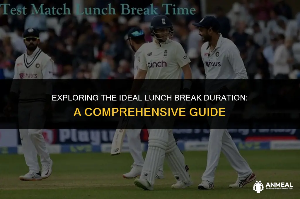 when does lunch end