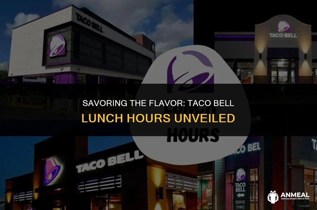 when does lunch start at taco bell