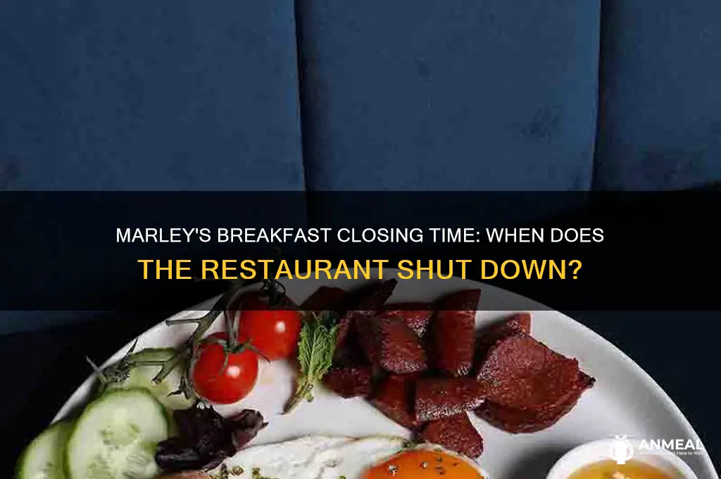 when does marley