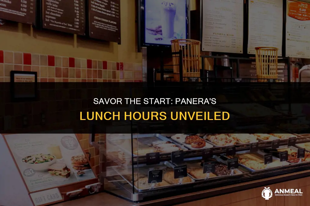 when does panera lunch start