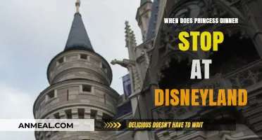 Disneyland Princess Dinner Hours: When Does the Magic End?