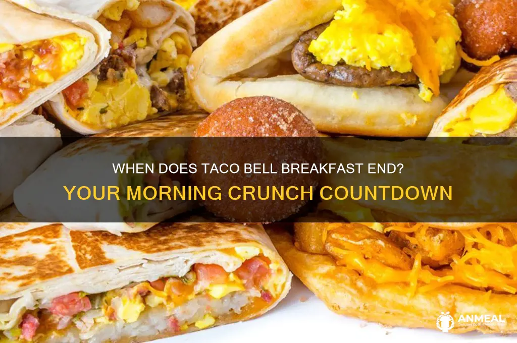 when does raco bell breakfast end