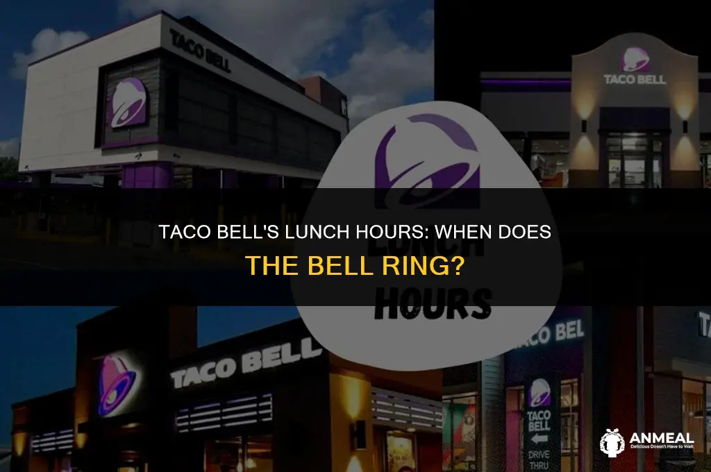 when does taco bell start selling lunch
