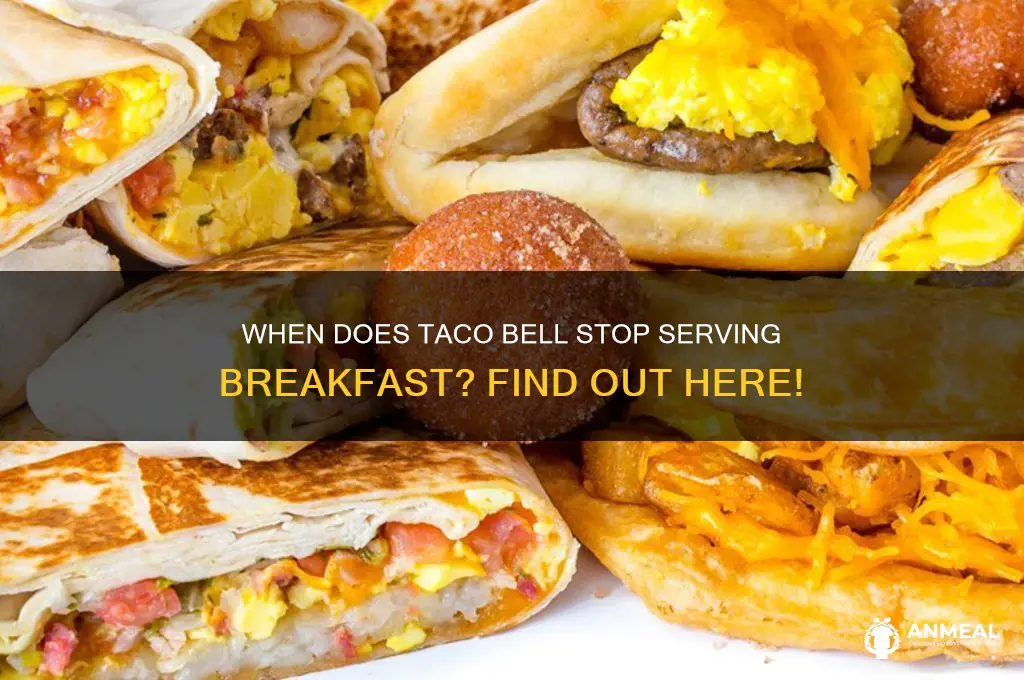 when does tacobell stop selling breakfast